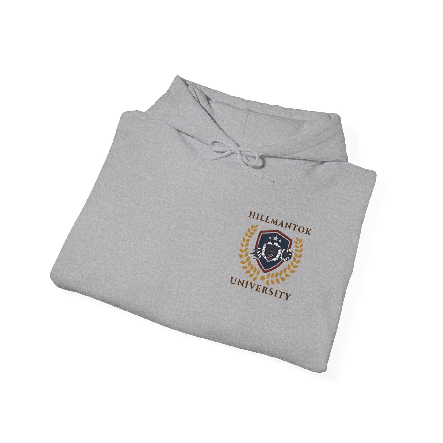 "HILLMANTOK UNIVERSITY" Future Millionaire Hooded Sweatshirt